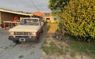 Ford-ranger-1984-white-1