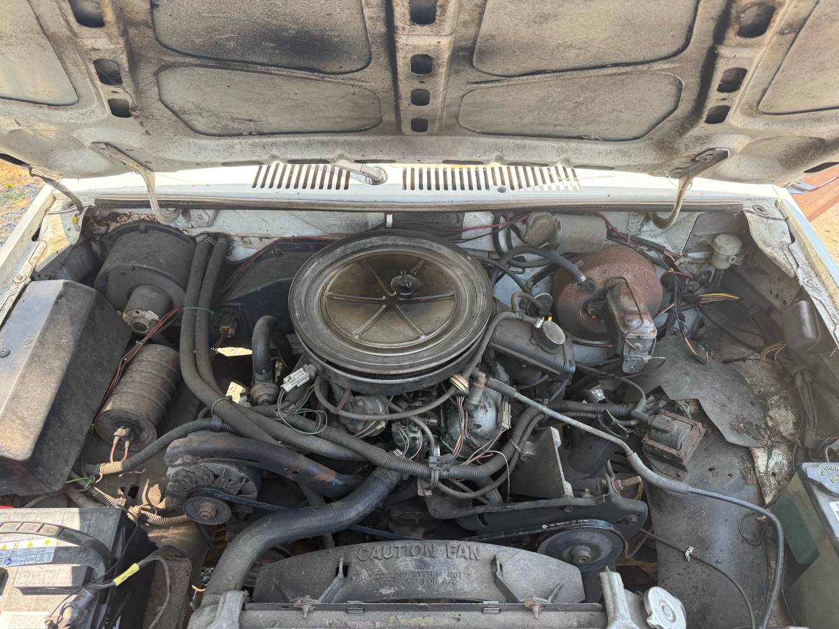 Ford-ranger-1984-white-3