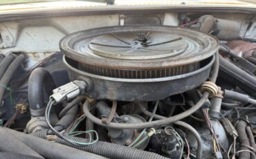 Ford-ranger-1984-white-5