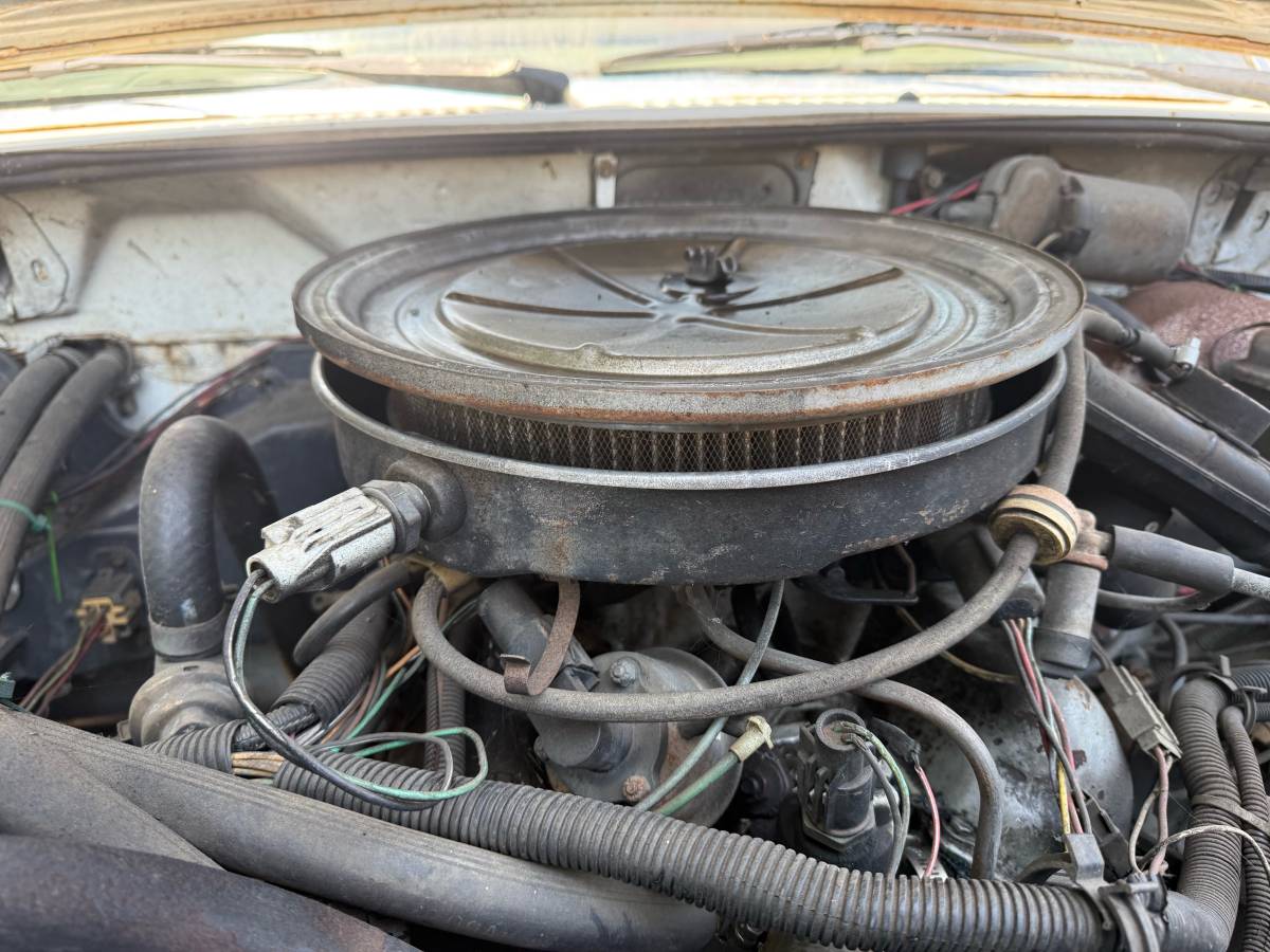 Ford-ranger-1984-white-5