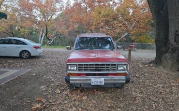 Ford-ranger-1985-white-2