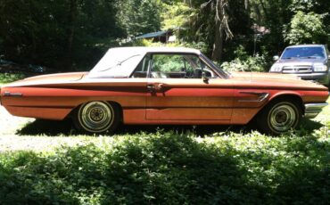 Ford-thunderbird-1965-1