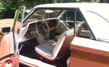 Ford-thunderbird-1965-2