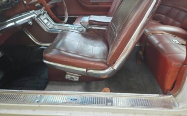 Ford-thunderbird-1966-1