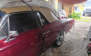 Ford-thunderbird-convertible-1964-red-1
