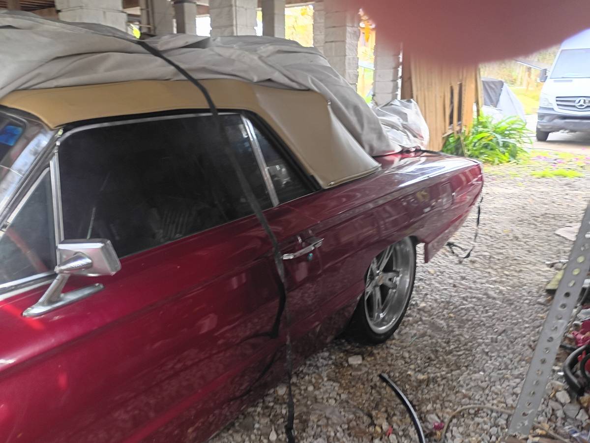 Ford-thunderbird-convertible-1964-red-1