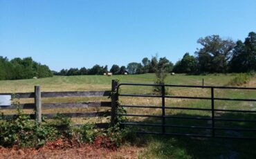 Ford-thunderbird-coupe-1966-yellow-3