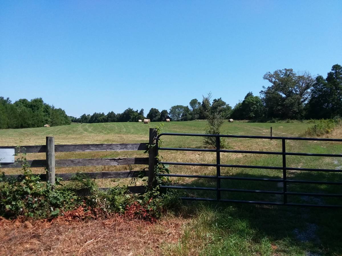 Ford-thunderbird-coupe-1966-yellow-3