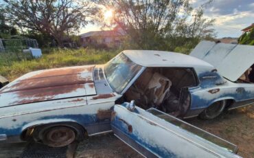 Ford-thunderbird-coupe-1969-blue