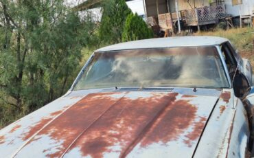 Ford-thunderbird-coupe-1969-blue-6