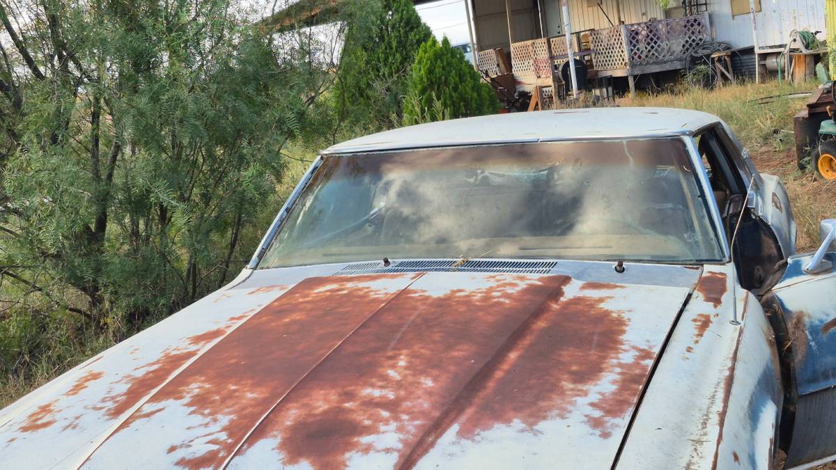 Ford-thunderbird-coupe-1969-blue-6