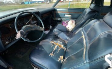 Ford-thunderbird-coupe-1979-blue-3