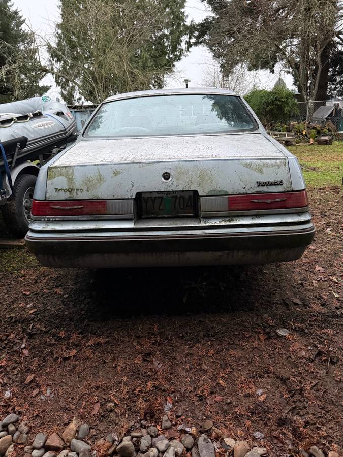 Ford-thunderbird-coupe-1986-1