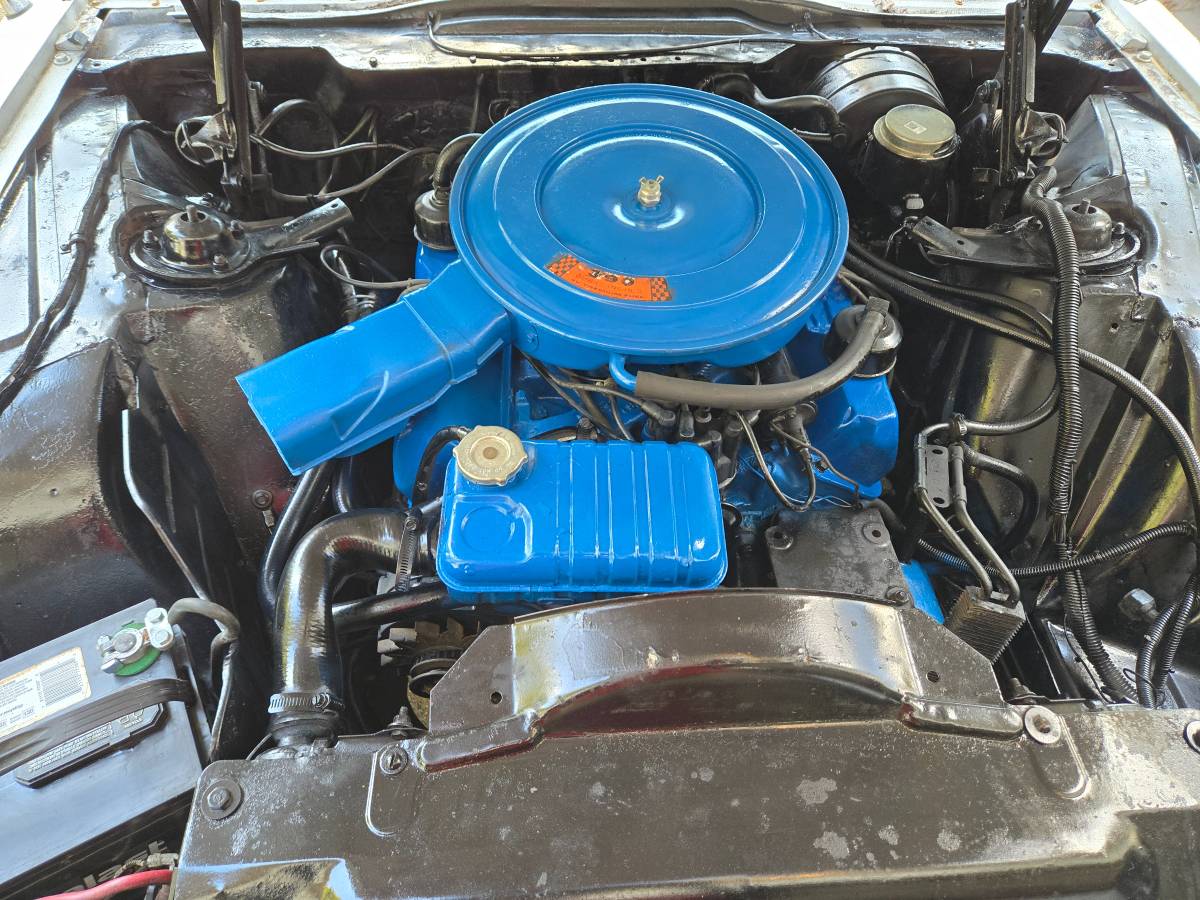 Ford-thunderbird-landau-1966-white-7