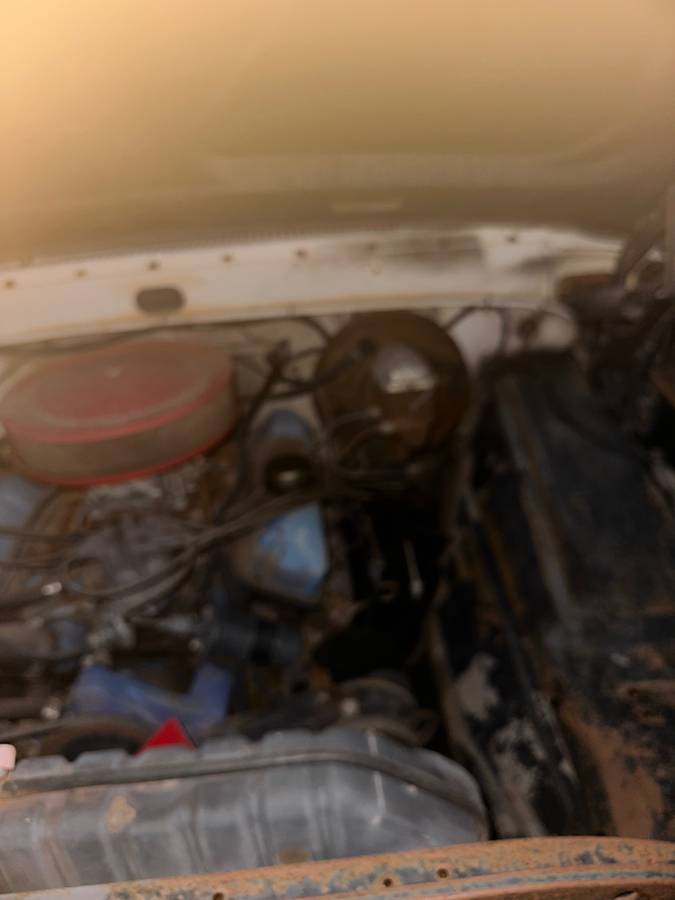 Ford-truck-1967-white-5