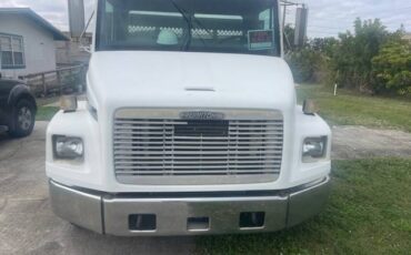 Freightliner-diesel-1996-white-1