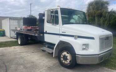 Freightliner-diesel-1996-white