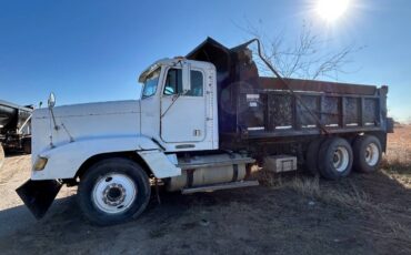 Freightliner-fld-diesel-1995-white-1