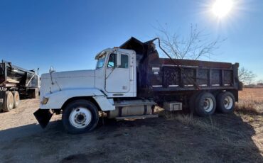 Freightliner-fld-diesel-1995-white