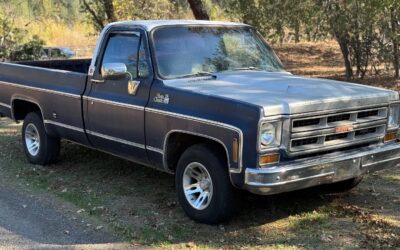 GMC 1/2 Ton Pickup 1975