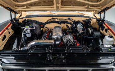 GMC-Jimmy-1979-SUV-30