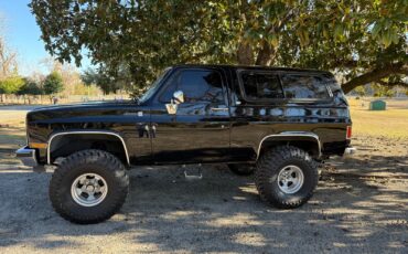 GMC-Jimmy-1991-SUV-19