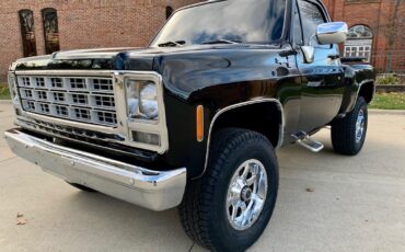 GMC-Sierra-1500-1978-Pickup-Truck-13