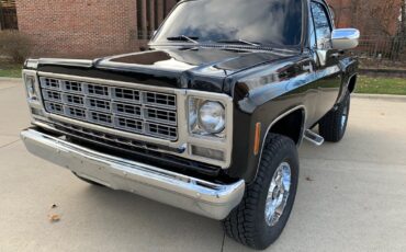 GMC-Sierra-1500-1978-Pickup-Truck-14