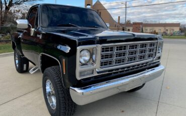 GMC-Sierra-1500-1978-Pickup-Truck-16