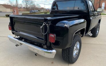 GMC-Sierra-1500-1978-Pickup-Truck-19