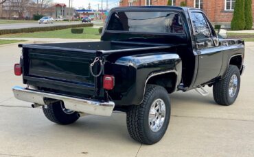 GMC-Sierra-1500-1978-Pickup-Truck-7