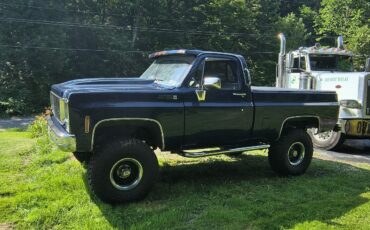 GMC-Sierra-1978-Standard-Cab-Pickup-1