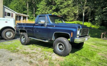 GMC-Sierra-1978-Standard-Cab-Pickup-2