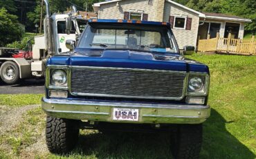GMC-Sierra-1978-Standard-Cab-Pickup