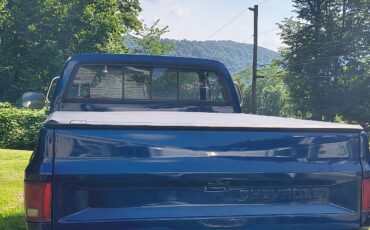 GMC-Sierra-1978-Standard-Cab-Pickup-5