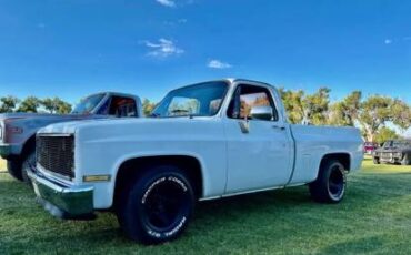Gmc-c10-1985-white-3