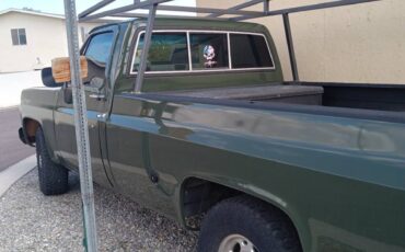 Gmc-c25-sierra-classic-1976-green-8
