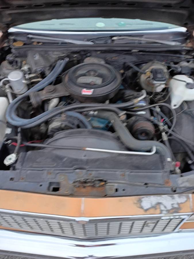 Gmc-caballero-1978-brown-4