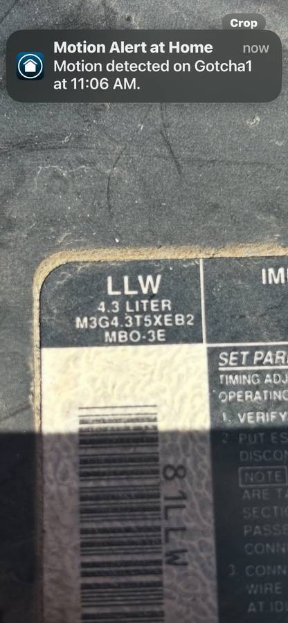 Gmc-sano-1991-white-4