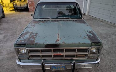 Gmc-sierra-1500-1978-green-38