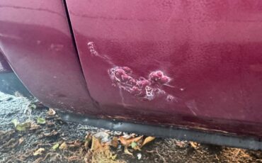 Gmc-sierra-1500-1979-custom-21