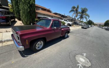 Gmc-sierra-1500-1979-custom-4
