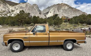 Gmc-sierra-1500-1984-5