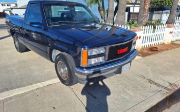 Gmc-sierra-1500-1993-blue-14
