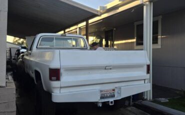 Gmc-sierra-2500hd-1976-white-4