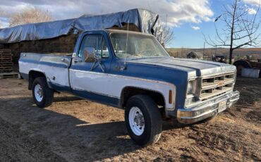 Gmc-sierra-classic-k25-1977-blue-2