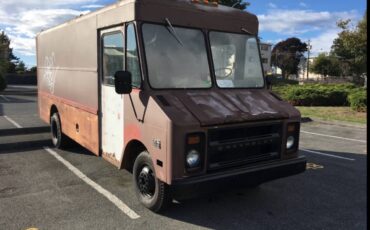 Grumman-1977-brown-1