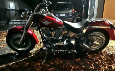 Harley-Davidson-Fatboy-1991-2