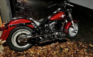 Harley-Davidson-Fatboy-1991-3