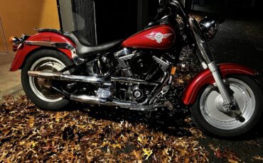 Harley-Davidson-Fatboy-1991-4